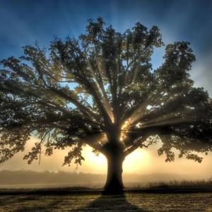 Meet your Posher, Jan